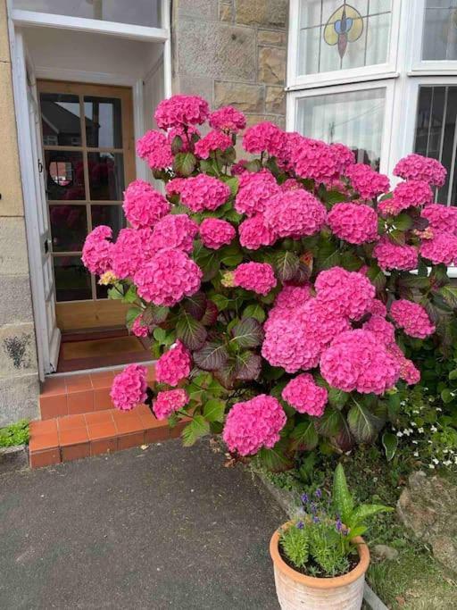 Kelvinside, Seahouses, 2 Minute Walk Into Village Exterior foto