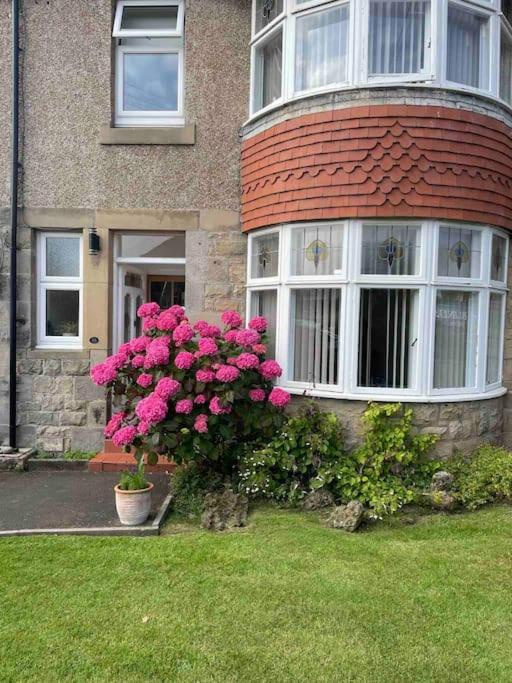 Kelvinside, Seahouses, 2 Minute Walk Into Village Exterior foto